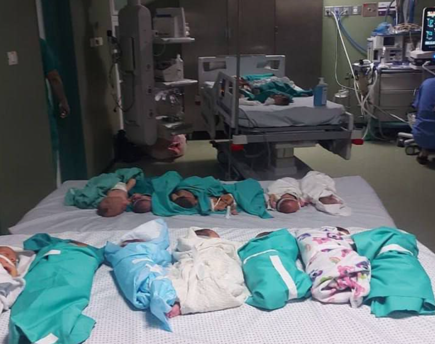 Bebés prematuros evacuados de Gaza a Egipto se encuentran en estado crítico. Noticias en tiempo real