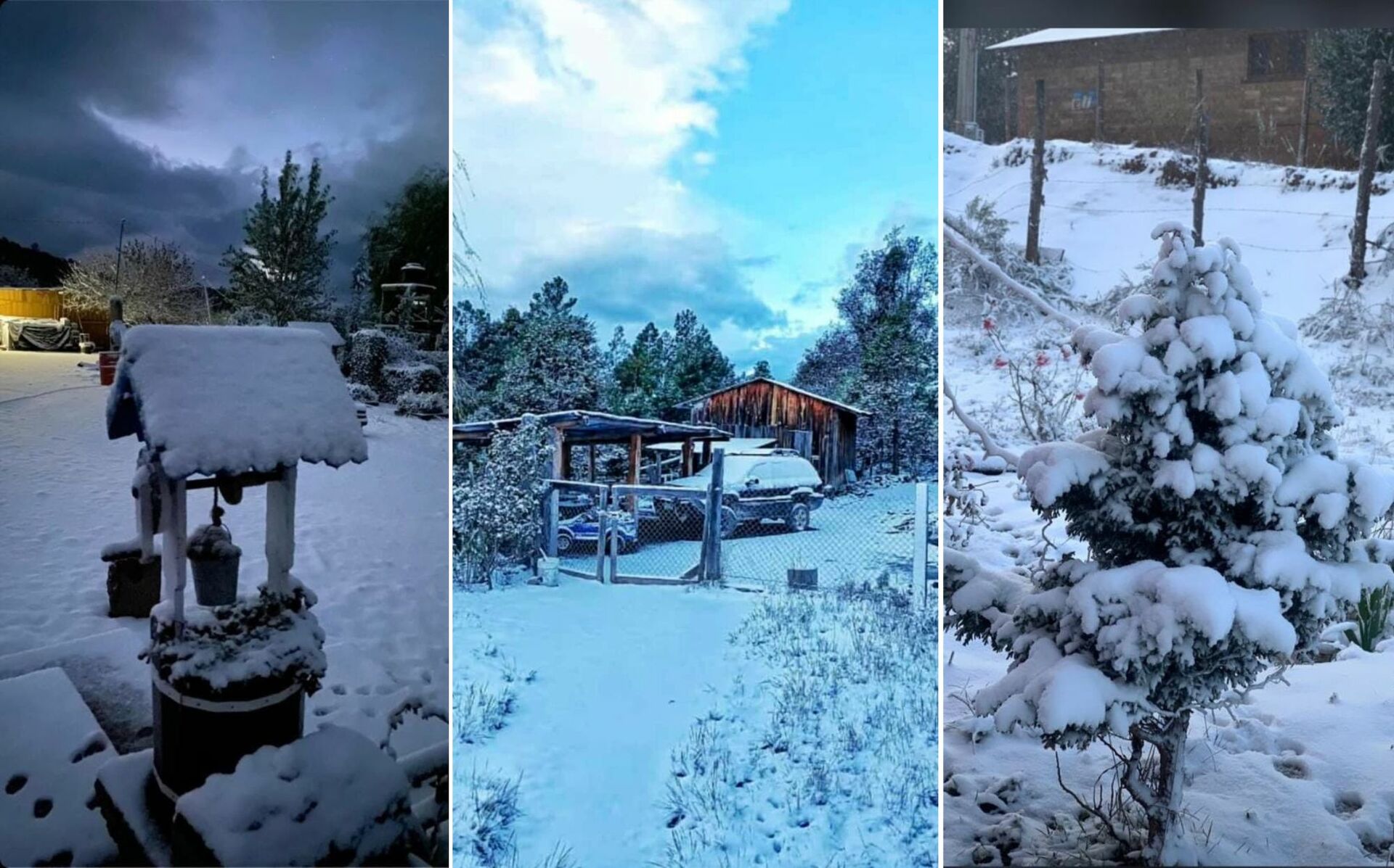 Postales de ensueño: las fotografías de las nevadas en Durango. Noticias en tiempo real
