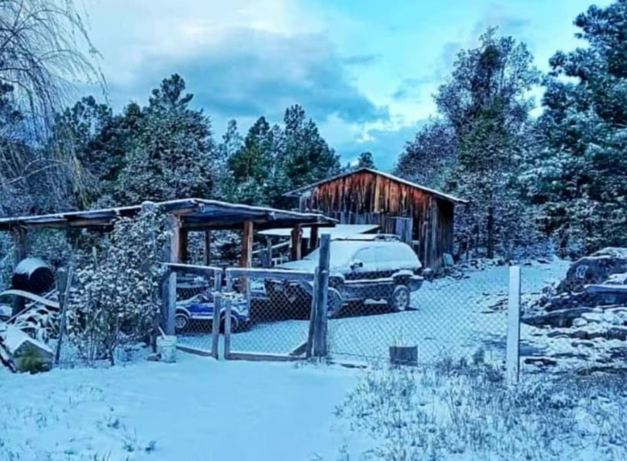 Ya son más los municipios de Durango que reportan nieve. Noticias en tiempo real