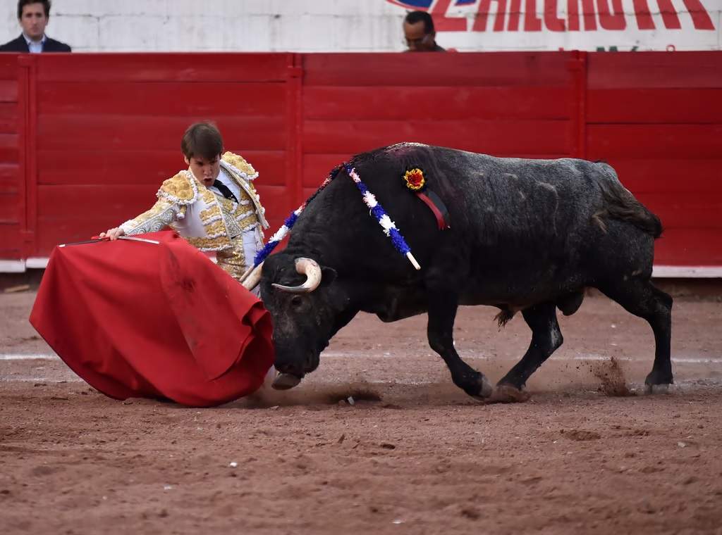 Un juez dicta suspensión provisional de las corridas de toros en Guadalajara. Noticias en tiempo real