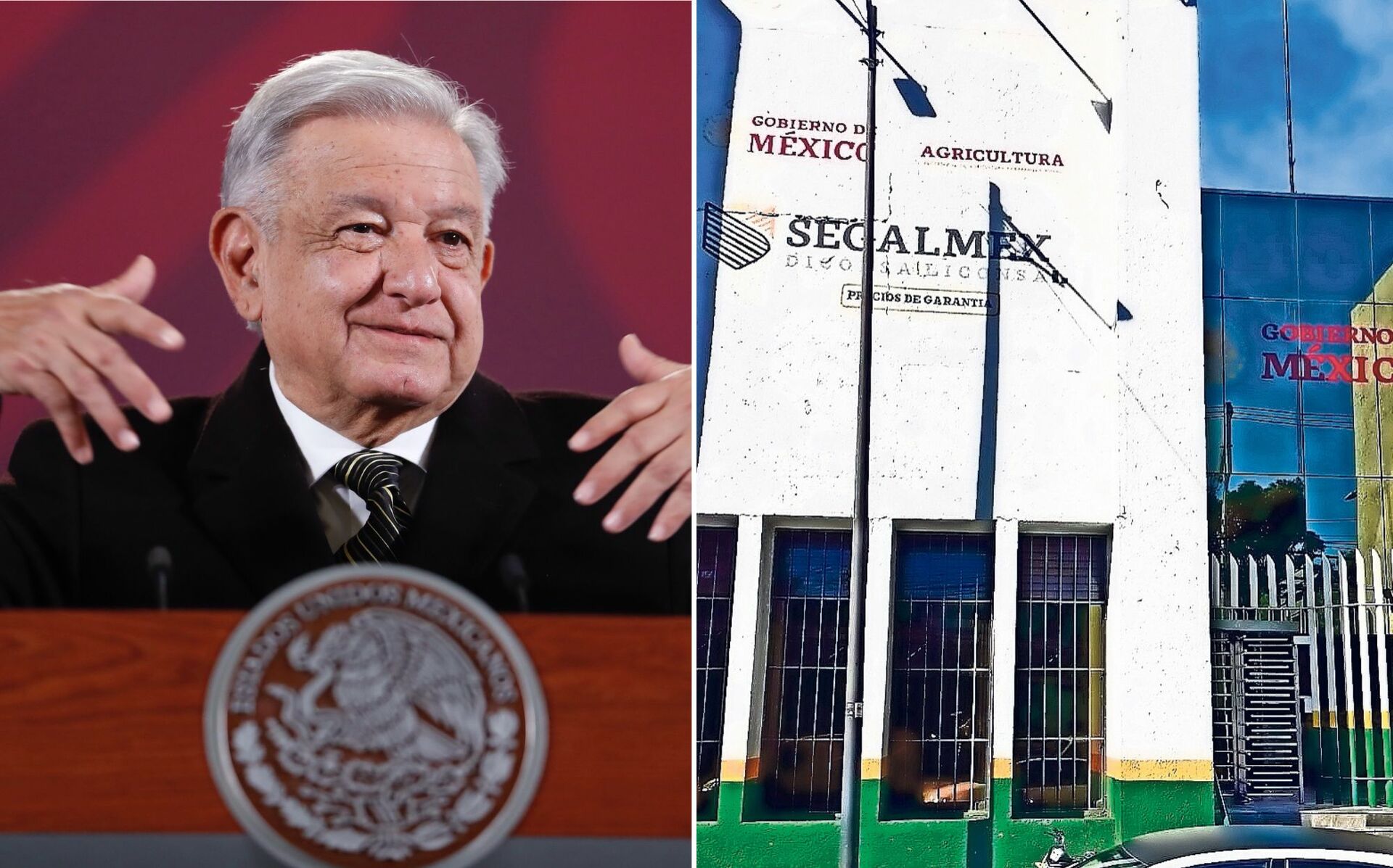 \'Se irá al fondo del caso\', promete AMLO tras detención de René Gavira por el fraude en Segalmex. Noticias en tiempo real