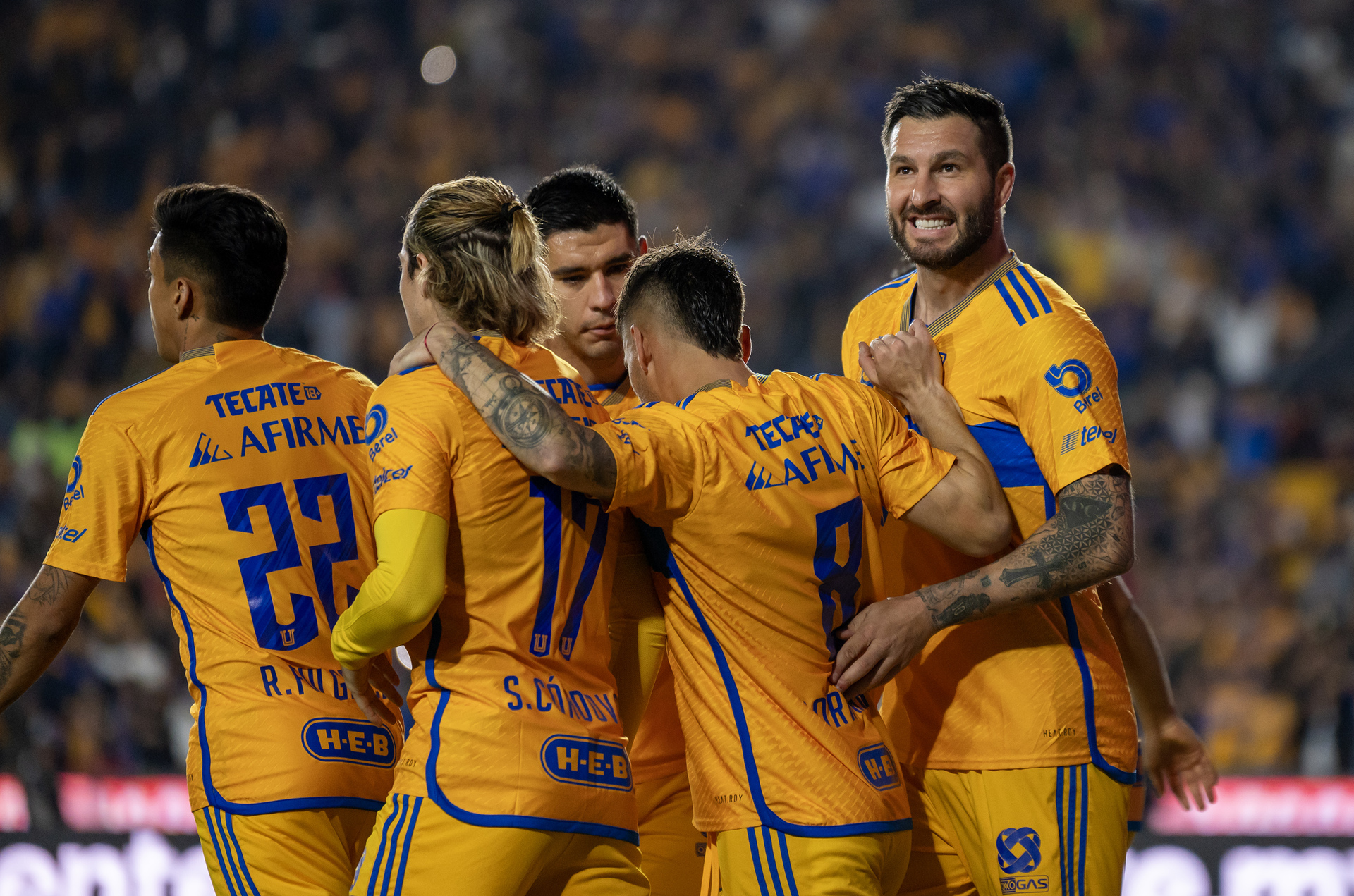 Tigres, con la ilusión de convertirse en bicampeonato. Noticias en tiempo real