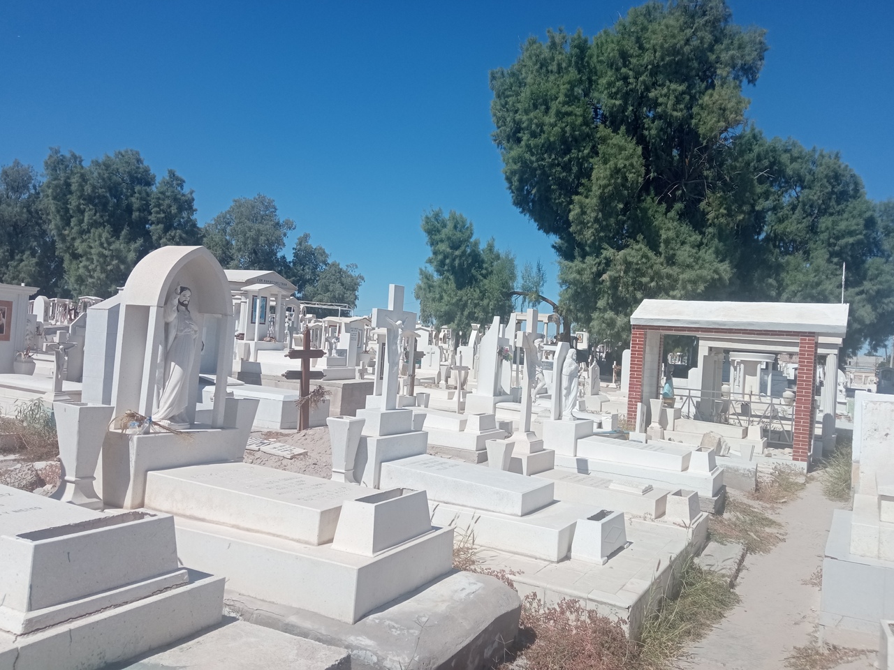 Este año proyectan un nuevo cementerio para San Pedro. Noticias en tiempo real
