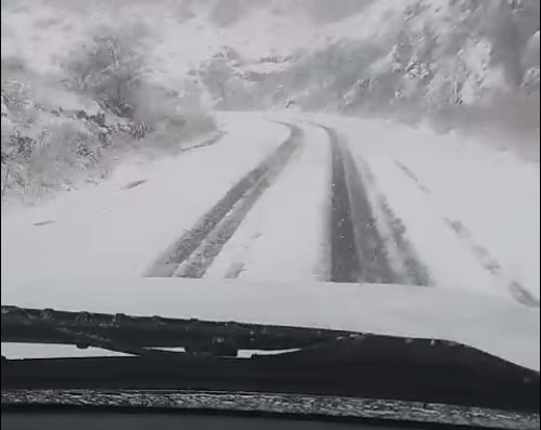 Cerradas carreteras en Chihuahua por nevada. Noticias en tiempo real
