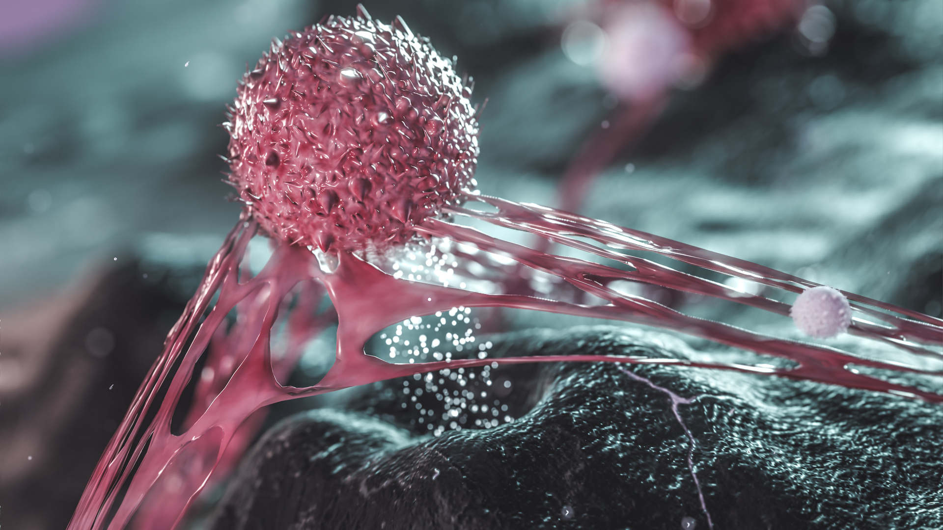Cáncer, es causa principal de mortalidad. Noticias en tiempo real