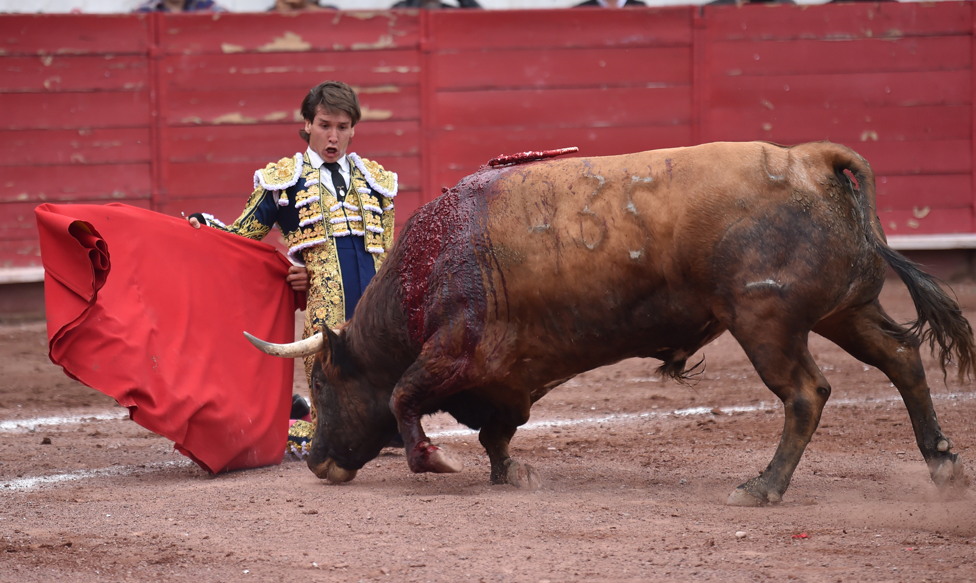 Arturo Gilio toreará en la Feria de San Marcos Lado.mx