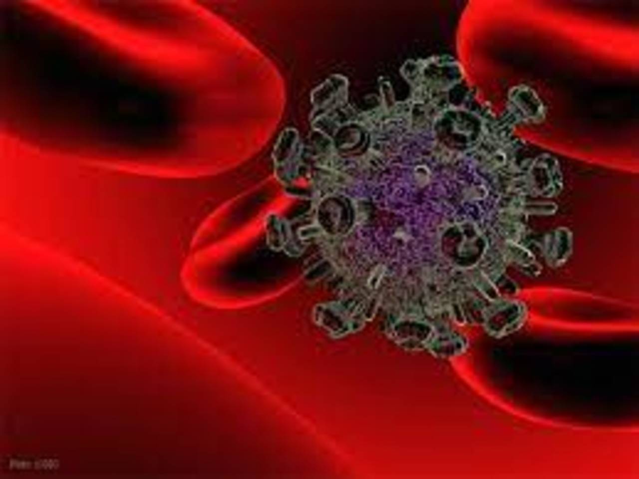 Científicos logran eliminar el VIH de las células. Noticias en tiempo real