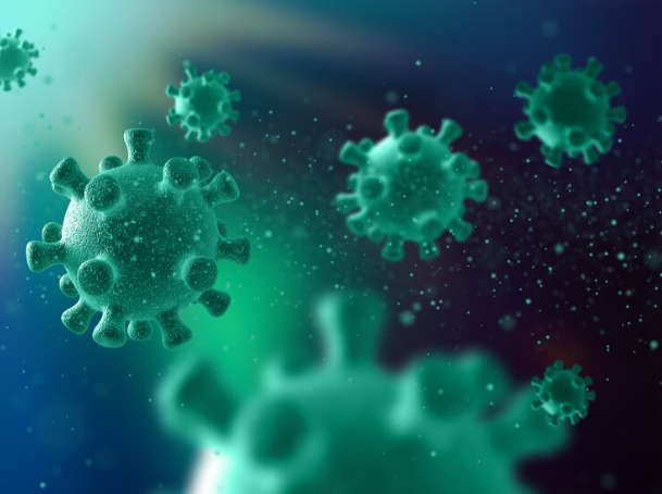 Explican cómo el cuerpo se protege de algunas vías de transmisión de ciertos virus. Noticias en tiempo real
