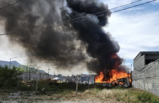 Yeguas y gallinas pierden la vida tras incendio en caballerizas. Noticias en tiempo real
