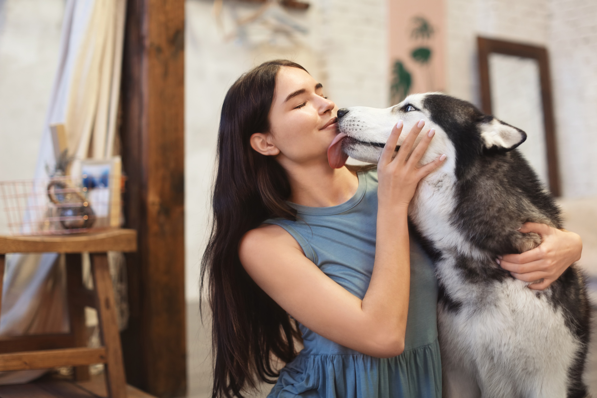 Motivos por los que un perro lame la cara, según psicóloga canina. Noticias en tiempo real