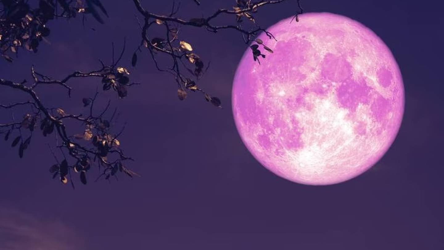 ¿Cuándo se verá la Luna Rosa en México?. Noticias en tiempo real