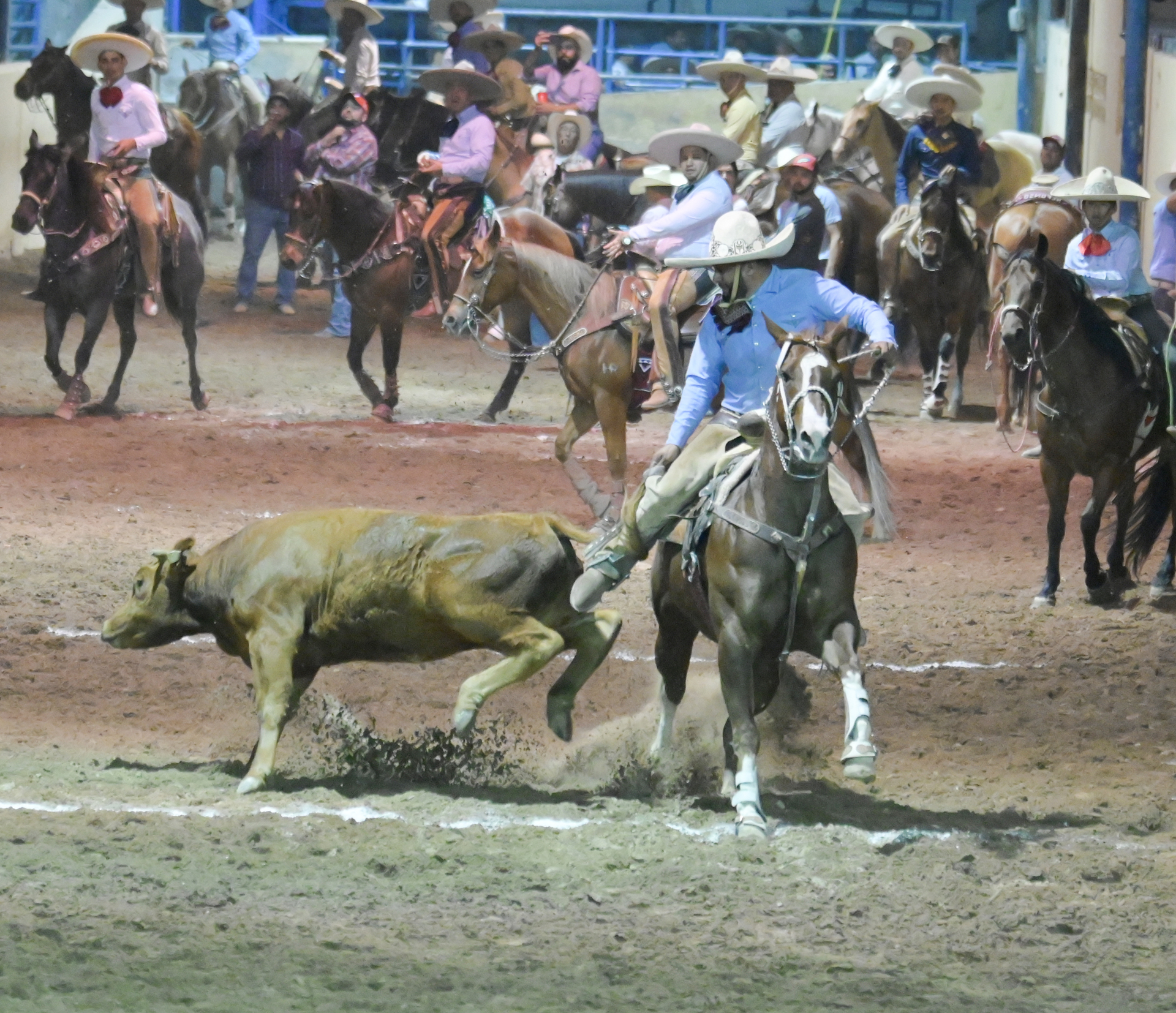 Unión Laguna vence en charreada nocturna. Noticias en tiempo real