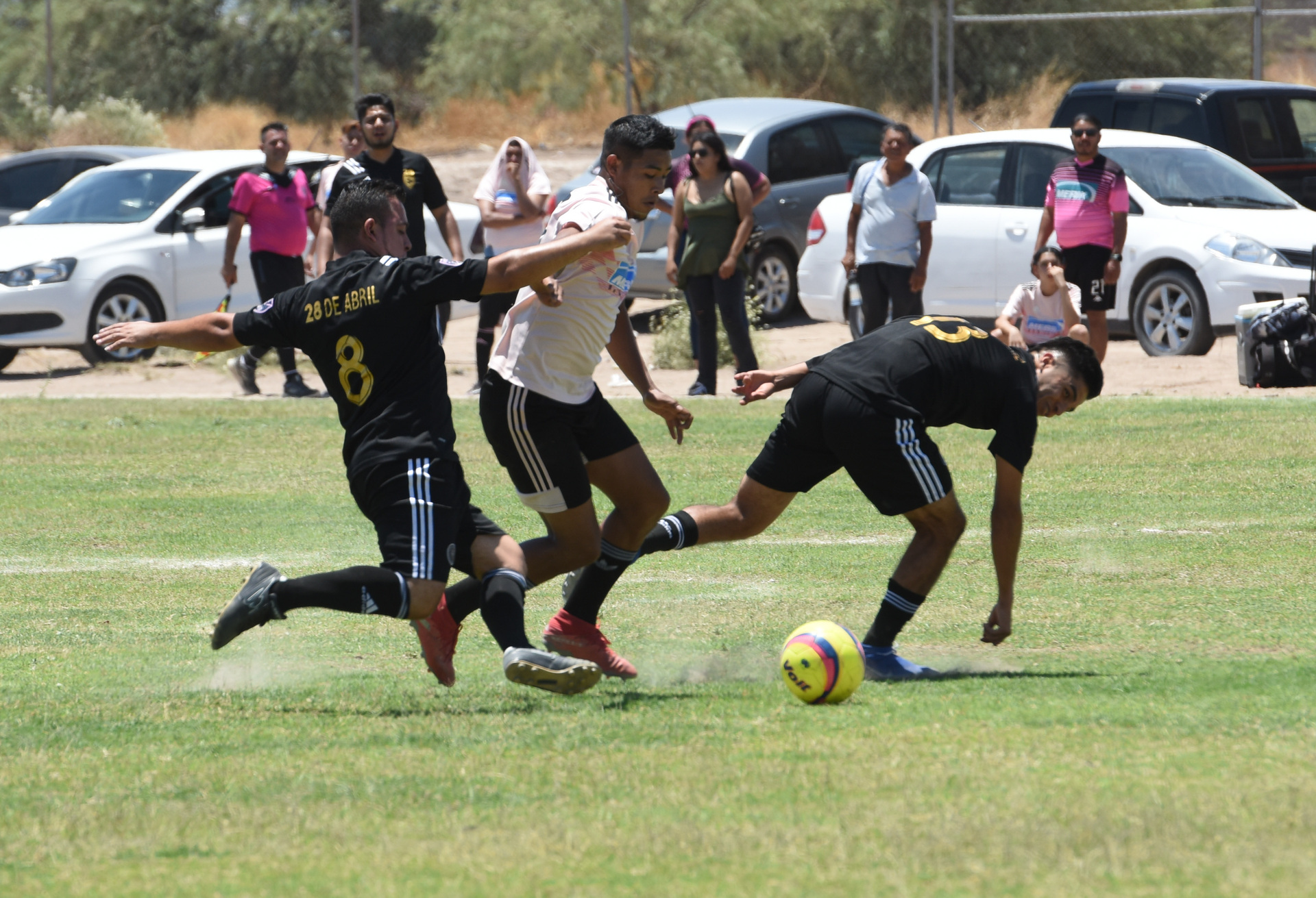 Inicia liguilla en Liga Circuito Especial. Noticias en tiempo real