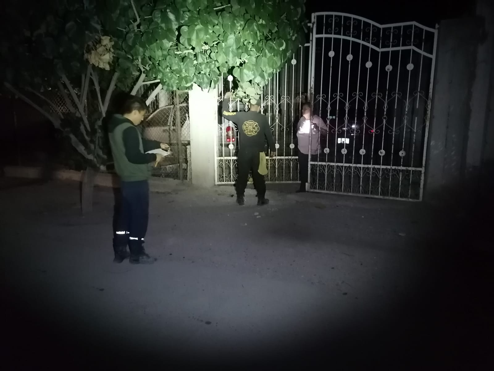Bomberos de Lerdo atienden reportes de árboles caídos por fuerte vientos . Noticias en tiempo real