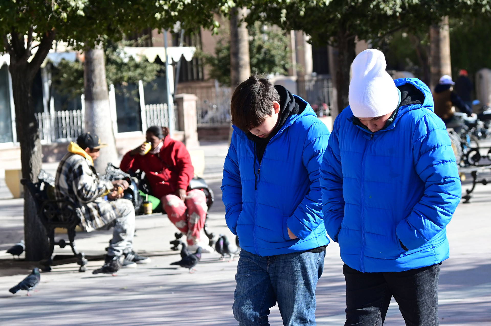 Frente frío 25 llega a La Laguna con un drástico descenso en las temperaturas. Noticias en tiempo real