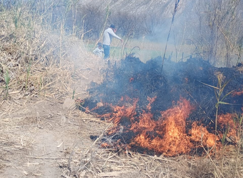 Llama Lerdo a prevenir incendios evitando la realización de fogatas. Noticias en tiempo real