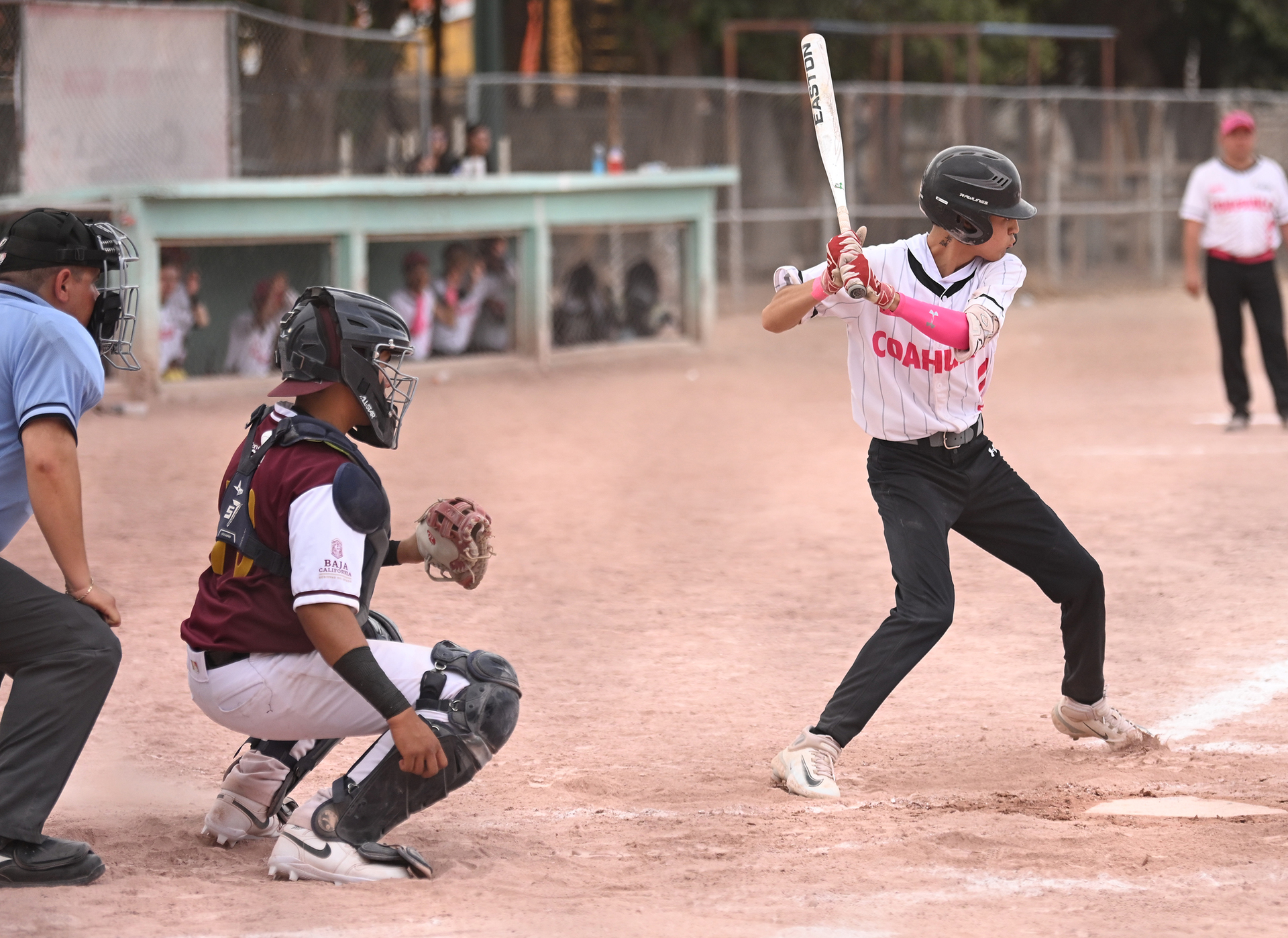 Coahuila avanza en softbol en el Macro Regional 2025. Noticias en tiempo real