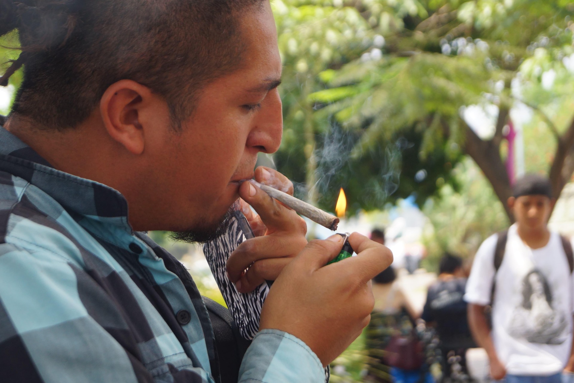 Día Mundial de la Marihuana en la Ciudad de México. Noticias en tiempo real