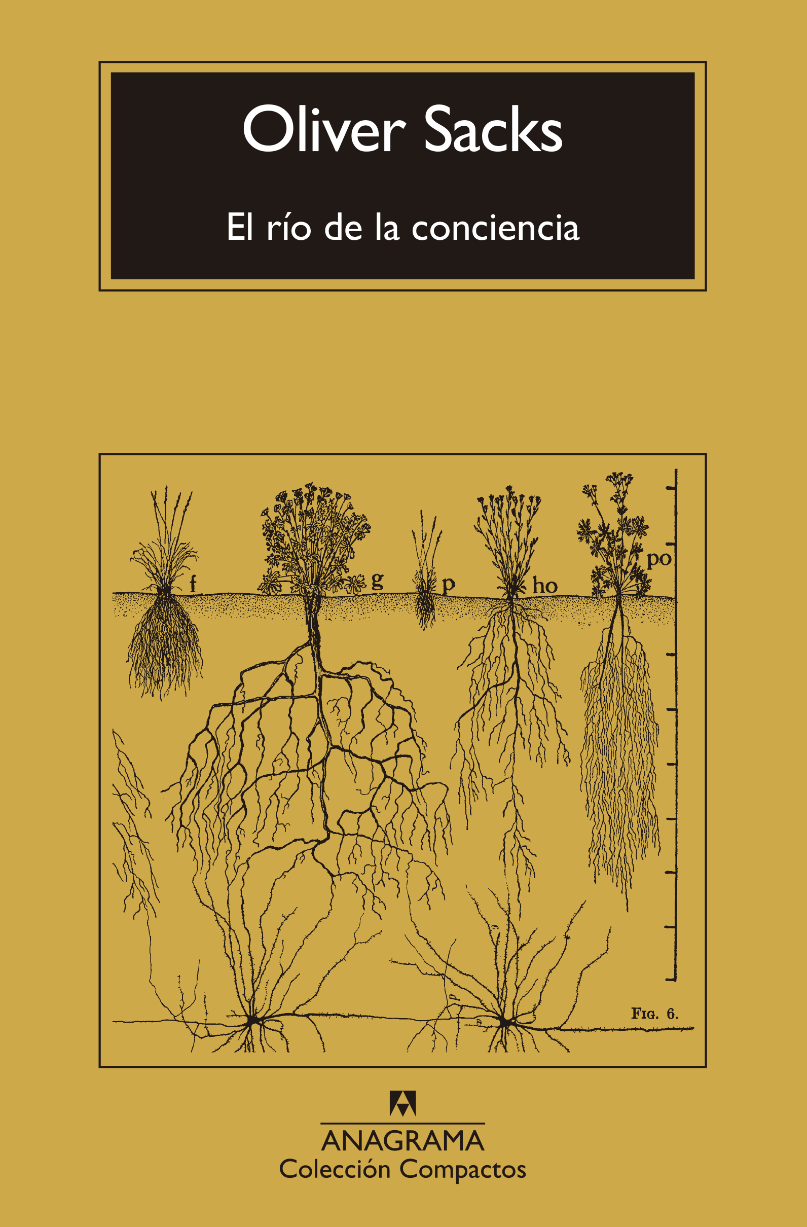 Nuestro recomendado para leer. Noticias en tiempo real