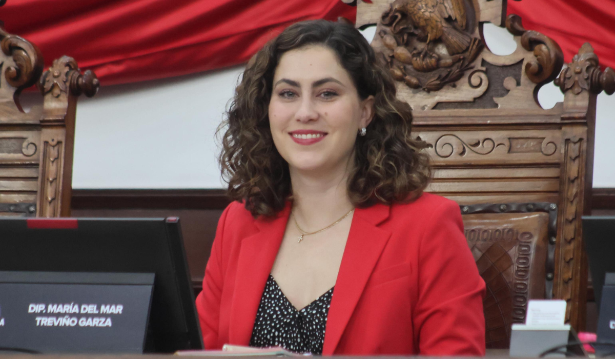 Congreso del Estado exhorta a fortalecer las estancias infantiles . Noticias en tiempo real