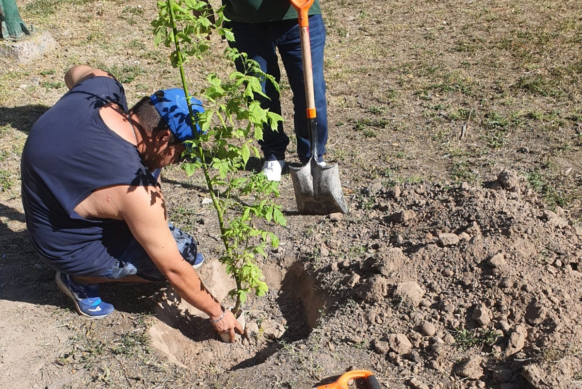 Mediante esquema de Servicio Comunitario del Centro de Justicia Municipal reforestan la asociación “Ciudad de los Niños”. Noticias en tiempo real