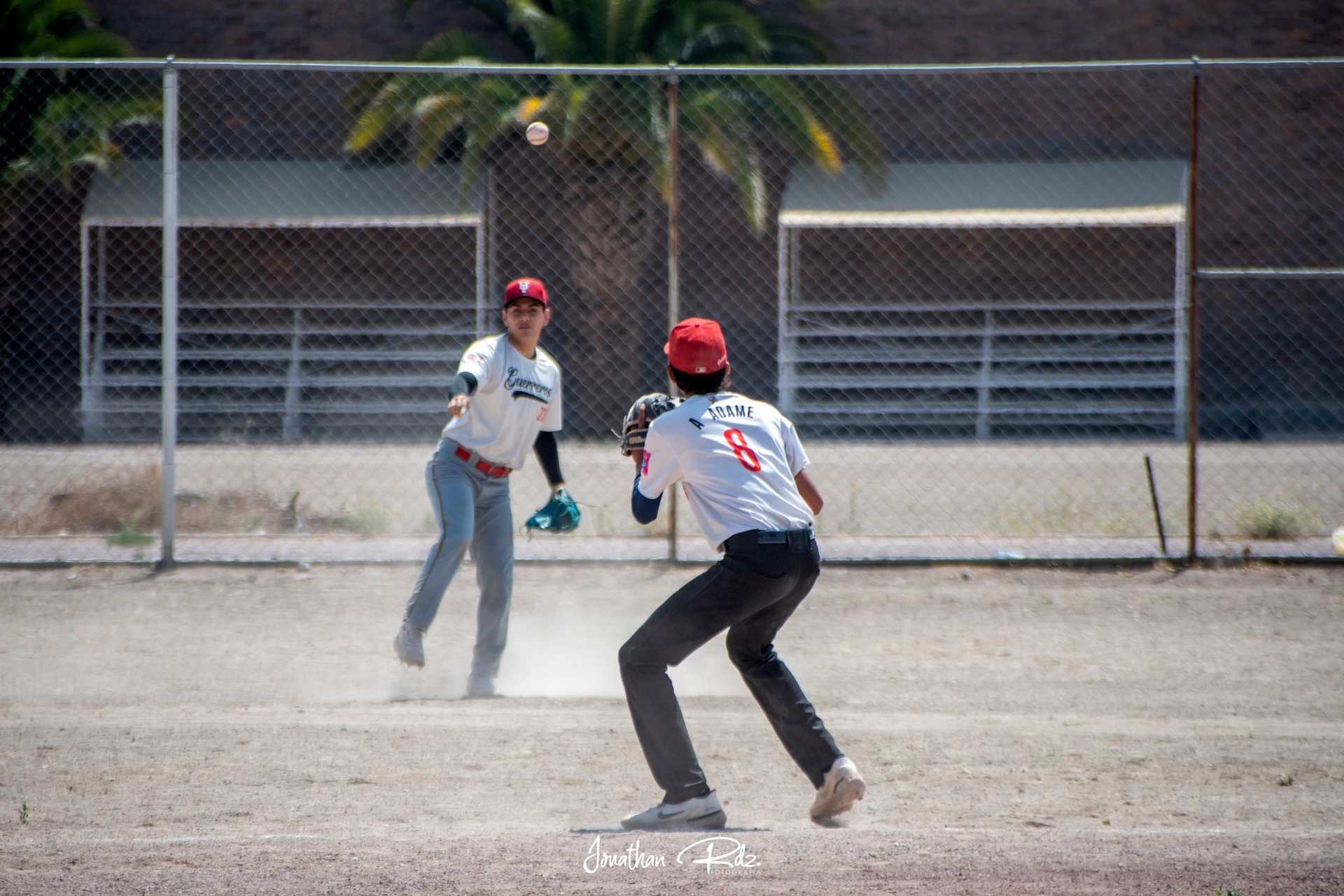 Reanudan  semifinales en la  Liga Dominical de Beisbol . Noticias en tiempo real