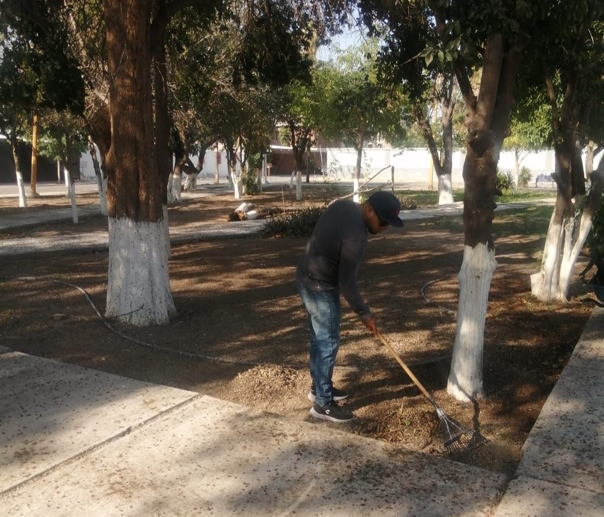 Realizan trabajos de limpieza en el Fraccionamiento del Bosque de Gómez Palacio. Noticias en tiempo real