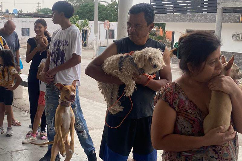 ¿Tienes mascotas? Invitan a brigada de salud gratuita en Lerdo . Noticias en tiempo real
