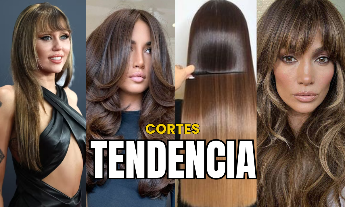 Cortes en tendencia para mujeres con cabello largo. Noticias en tiempo real