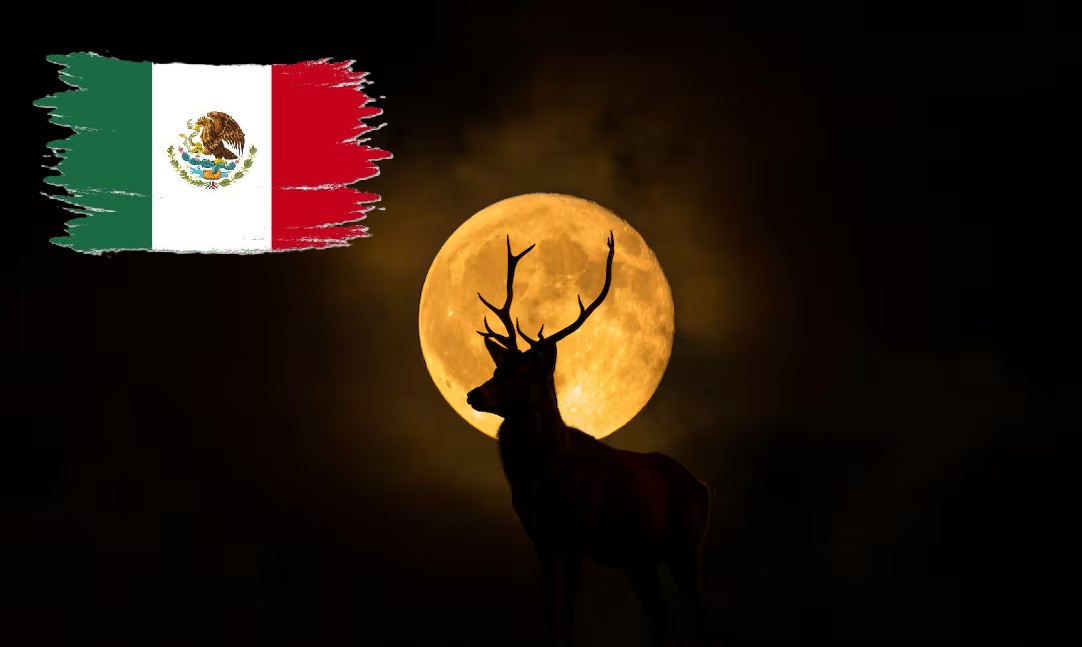 ¿Qué fenómenos astronómicos se podrán ver desde México en julio?. Noticias en tiempo real