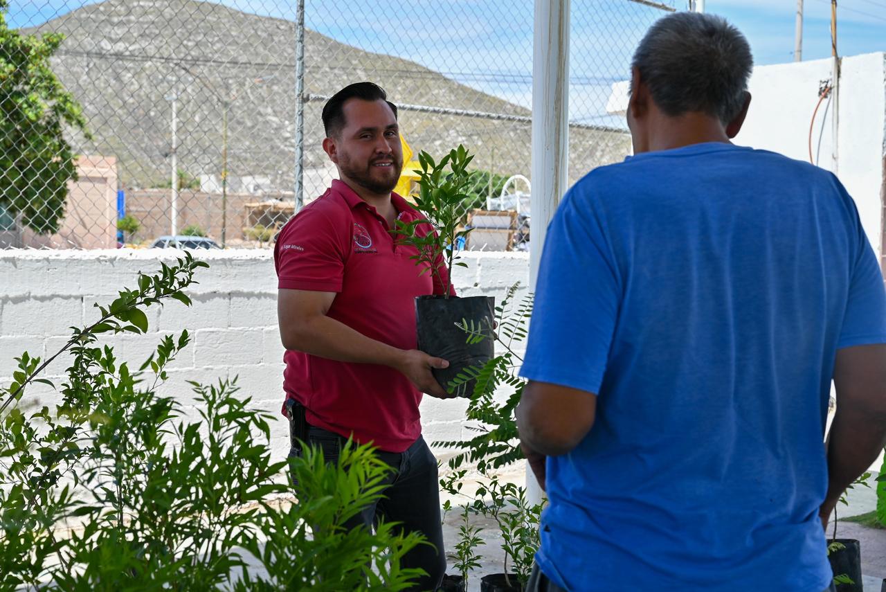 Campaña de reforestación llegará a Villa Nazareno. Noticias en tiempo real