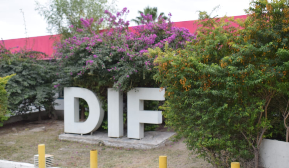 El lunes impartirán plática sobre TDAH en el DIF San Pedro. Noticias en tiempo real