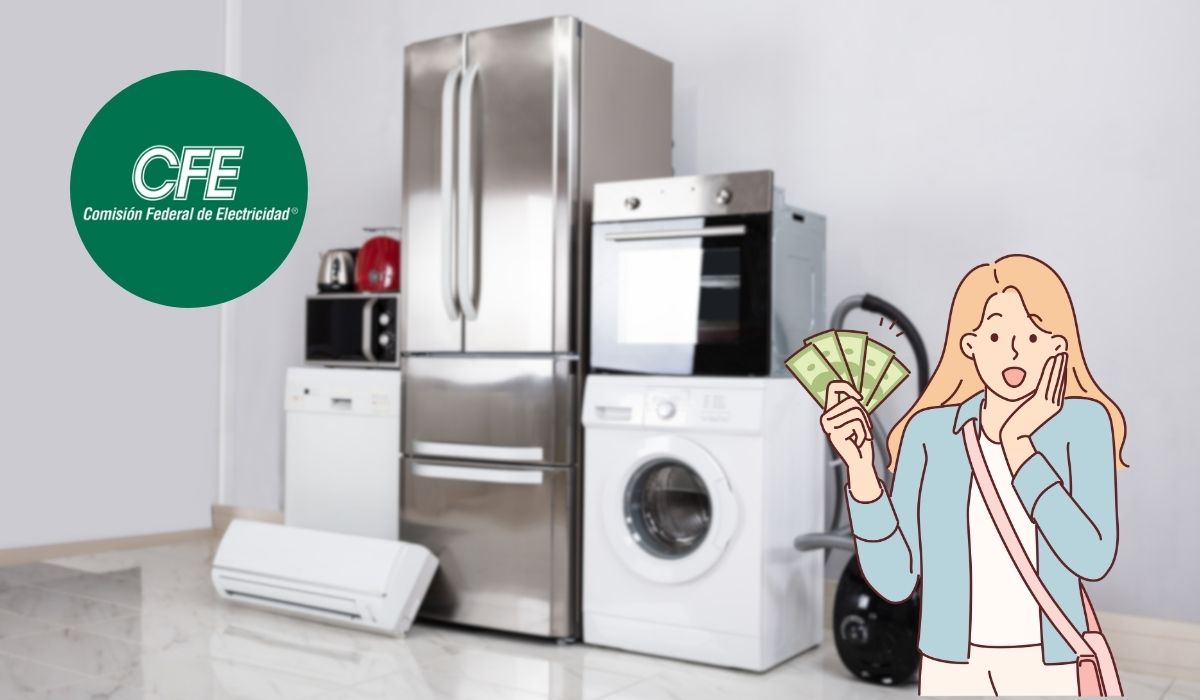 ¿Cómo comprar electrodomésticos a través de CFE?. Noticias en tiempo real