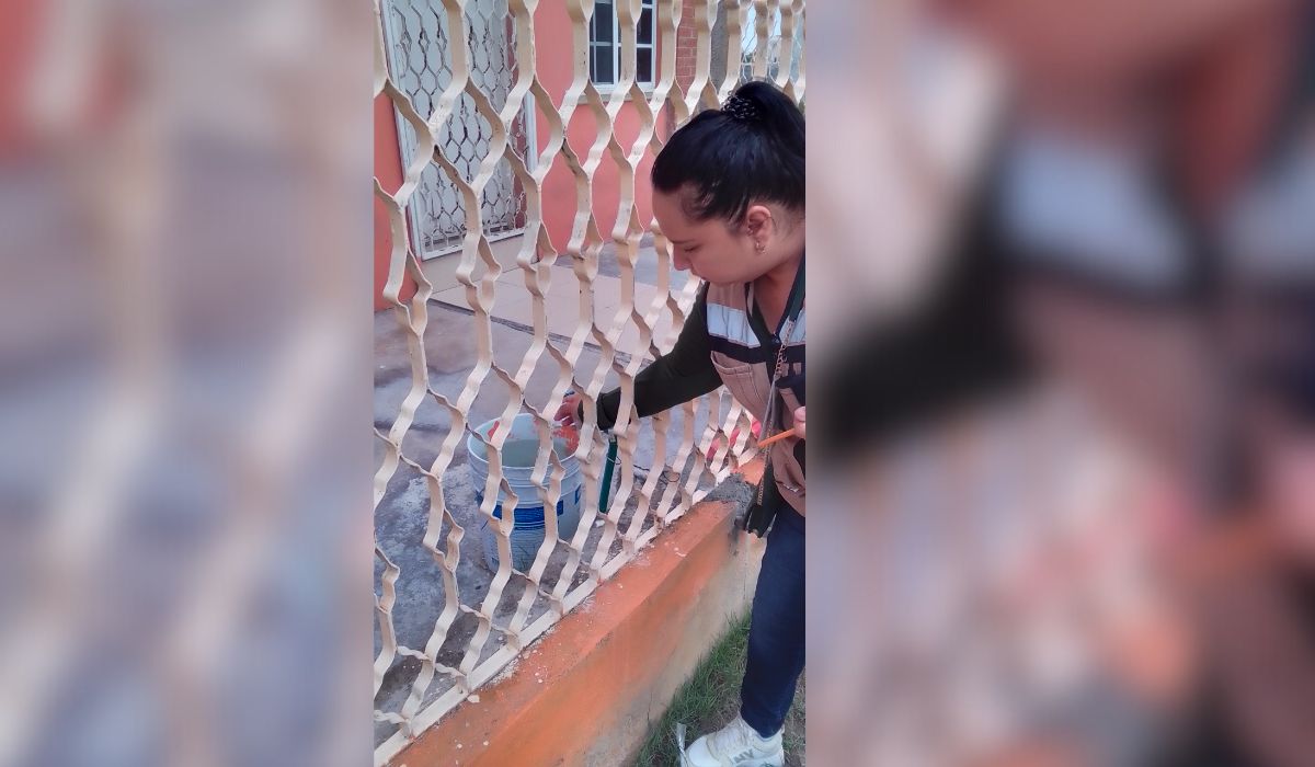 Preocupa a Salud el dengue por las lluvias en la Región Centro. Noticias en tiempo real