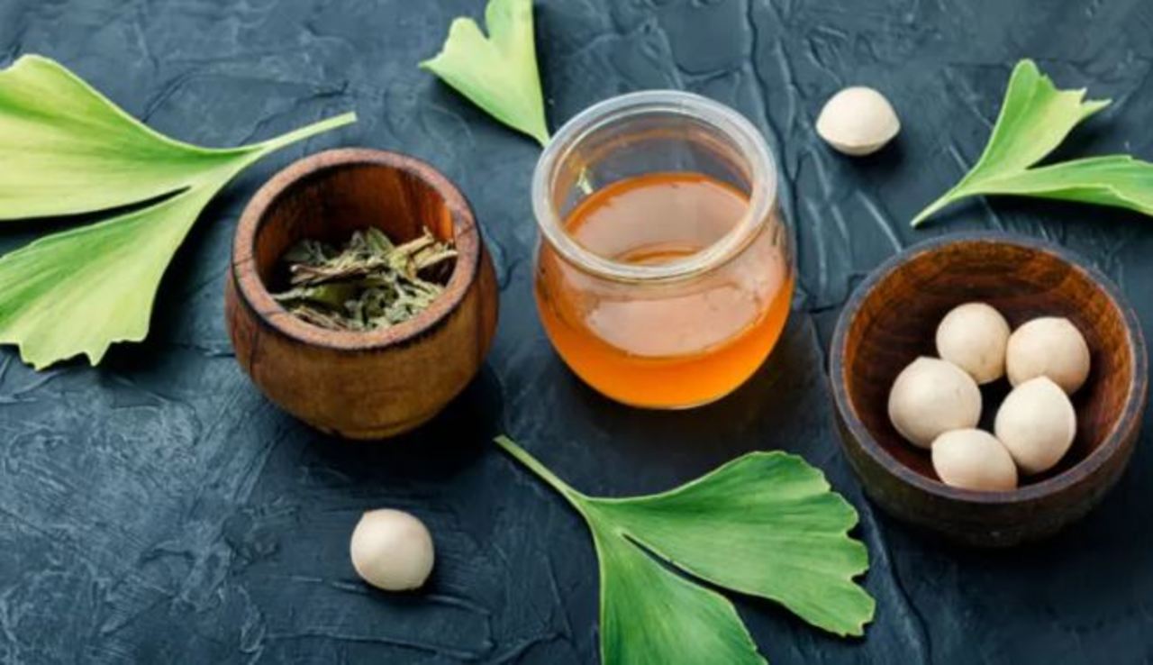 Beneficios del ginkgo biloba. Noticias en tiempo real