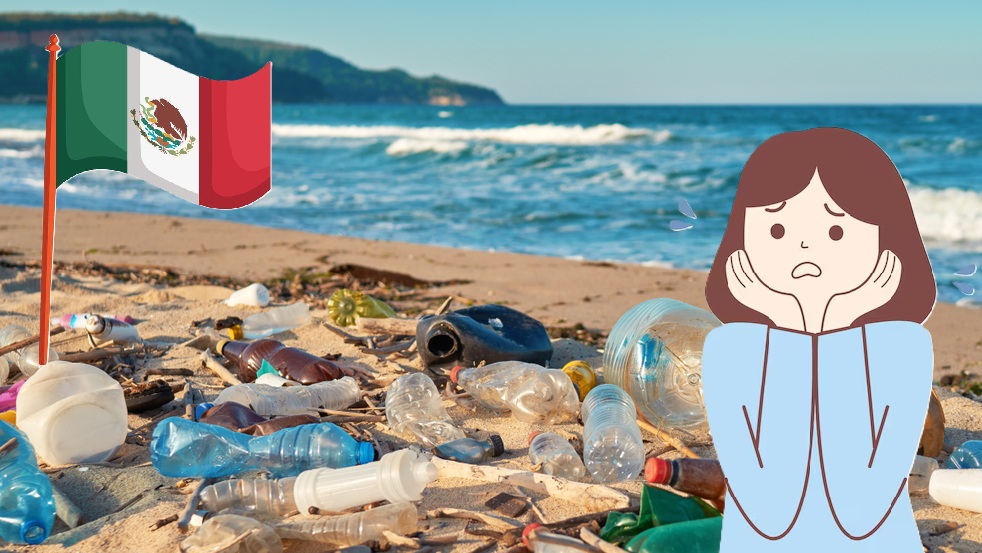 ¿Vas de vacaciones? ¡Cuidado! Estas son las playas más contaminadas de México . Noticias en tiempo real