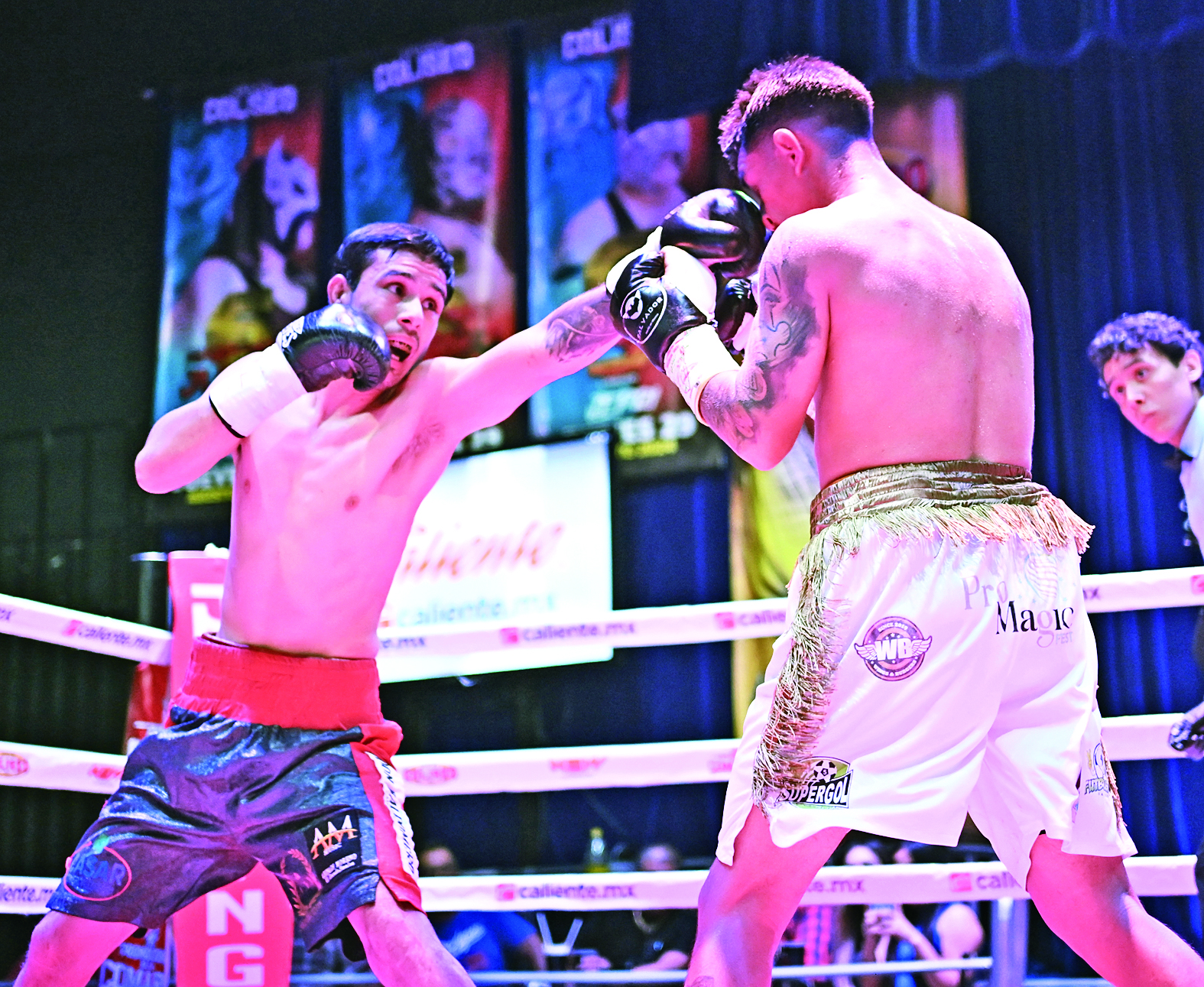 Preparan función profesional de boxeo en Lerdo . Noticias en tiempo real