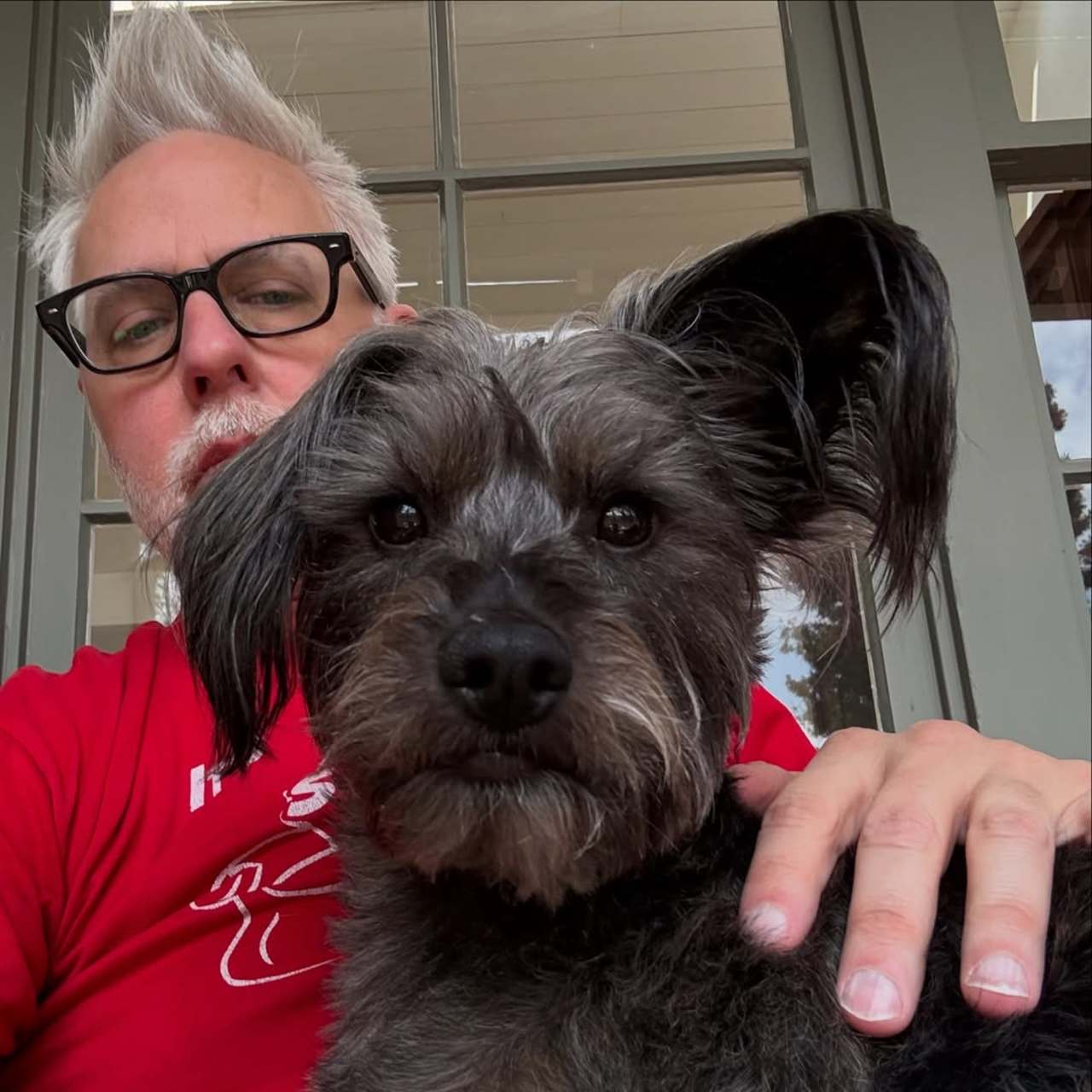 El perrito que inspiró a la creación de 