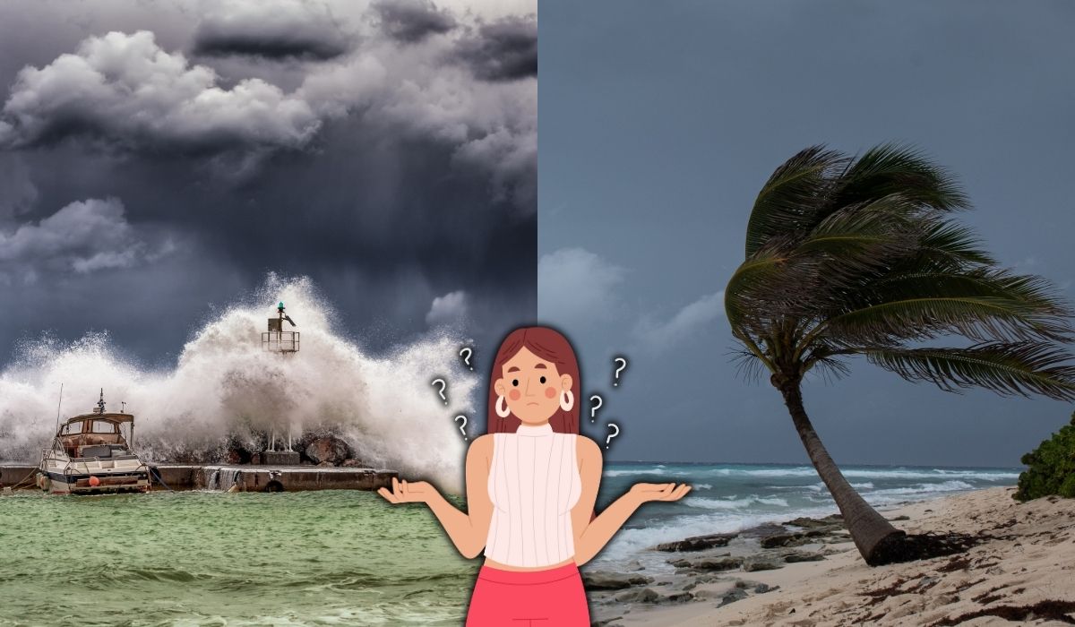 ¿Cuál es la diferencia entre un tsunami y un huracán? Este es el que resulta más peligroso. Noticias en tiempo real