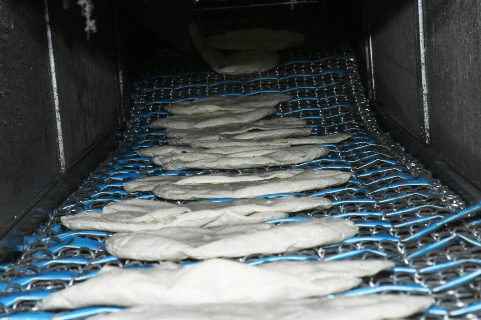 Acuerdo Nacional Maíz–Tortilla no convence a productores en Torreón: “No están ofreciendo nada”. Noticias en tiempo real