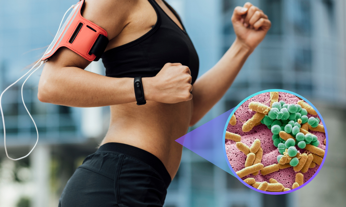 El ejercicio moderado mejora la microbiota y la salud cerebral. Noticias en tiempo real