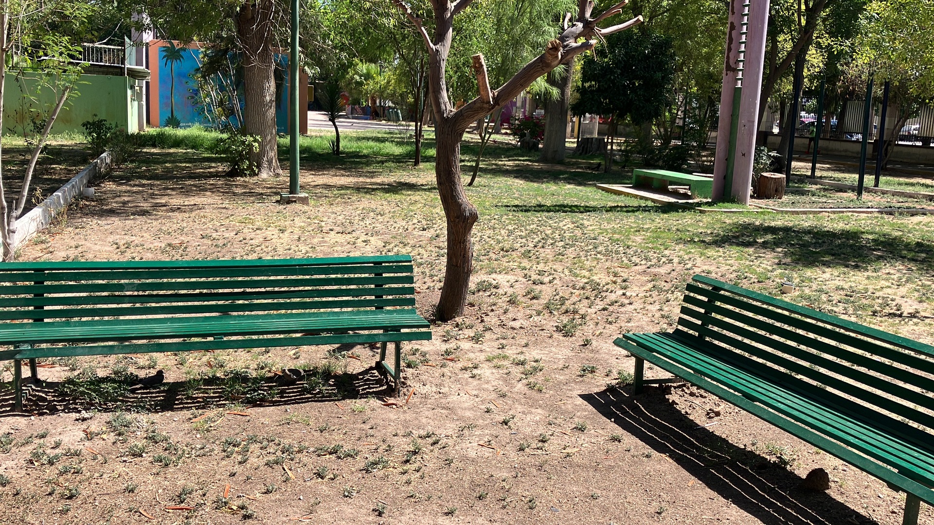 Torreón impulsa la creación de la Unidad de Vigilancia Ambiental. Noticias en tiempo real